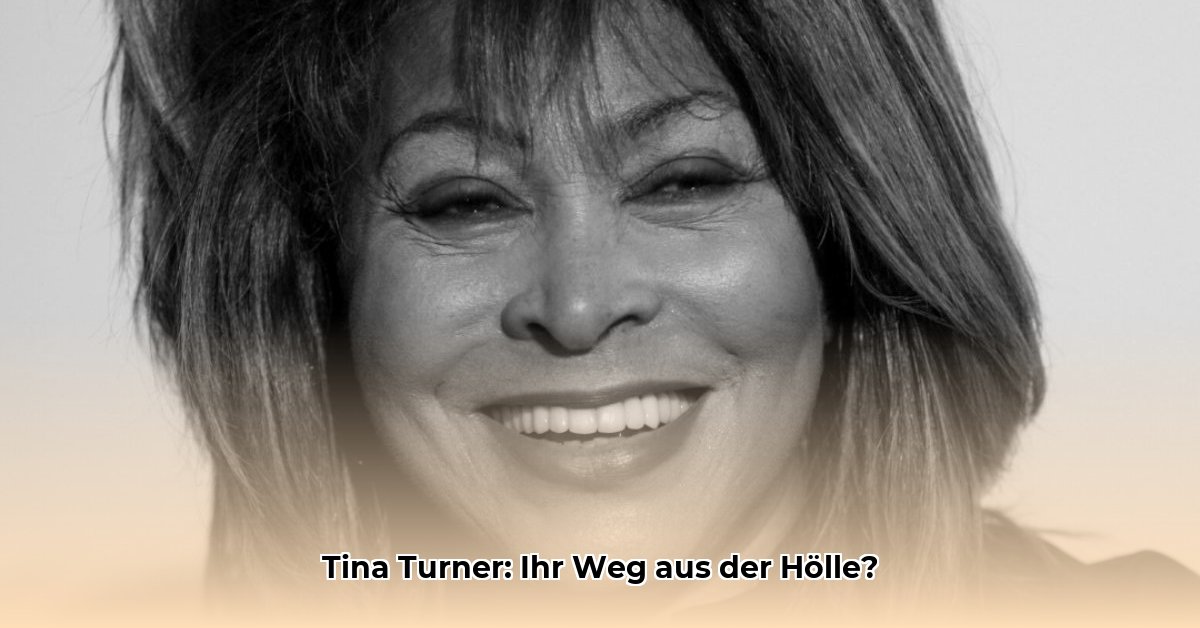 ex-de-tina-turner